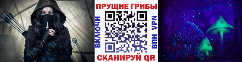 как найти   Моздок  MEGA вход  маркетплейс наркотические препараты  Псилоцибиновые грибы MAGIC MUSHROOMS 
